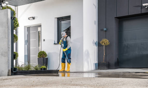 Best Fence Cleaning  in Zeigler, IL